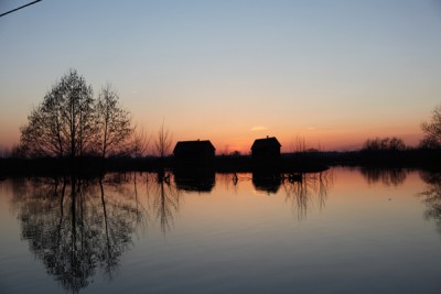 IMG_2312.JPG