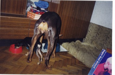 17 Лето 1998.jpg