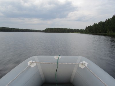 IMG_1568.jpg