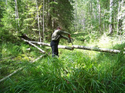 975  Мутвино 13.08.11.jpg
