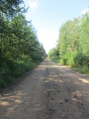 Узкоколейка.