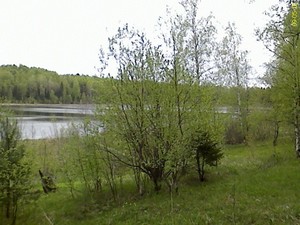DC090516001_1.jpg
