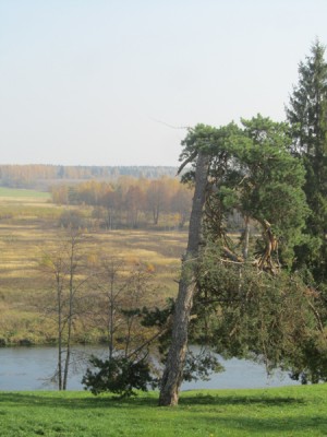 46 дер. Комлево 08.10.11.jpg