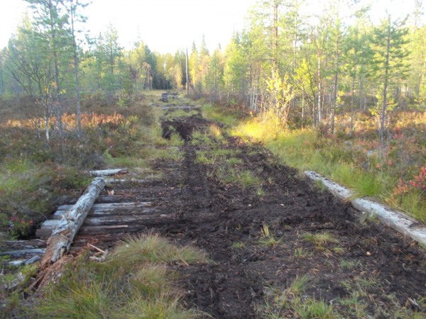 DSCN0546.jpg
