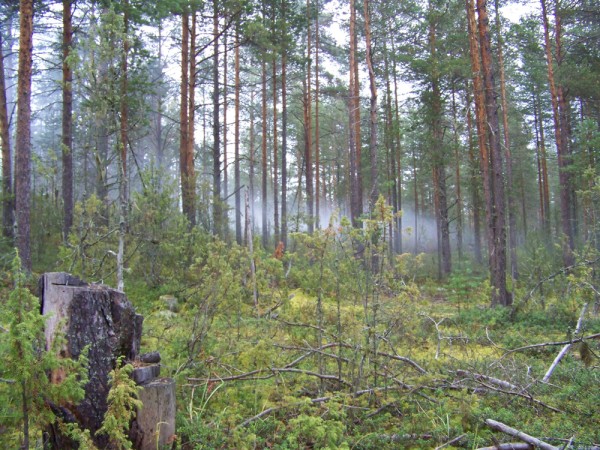 100_3503.jpg