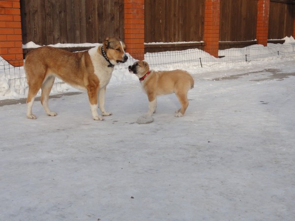 DSC01810.JPG
