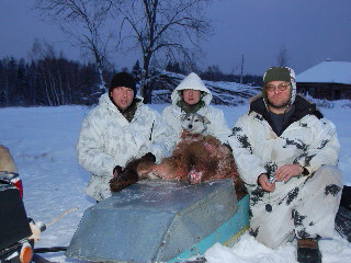 В санях не типичный для долов зверь.