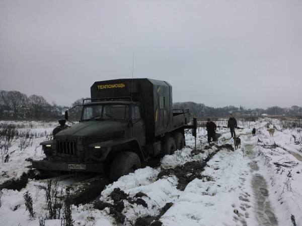 В поле.jpg