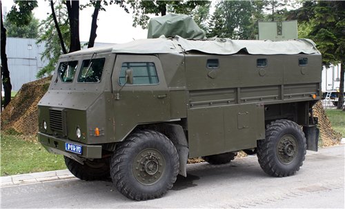8971409.jpg