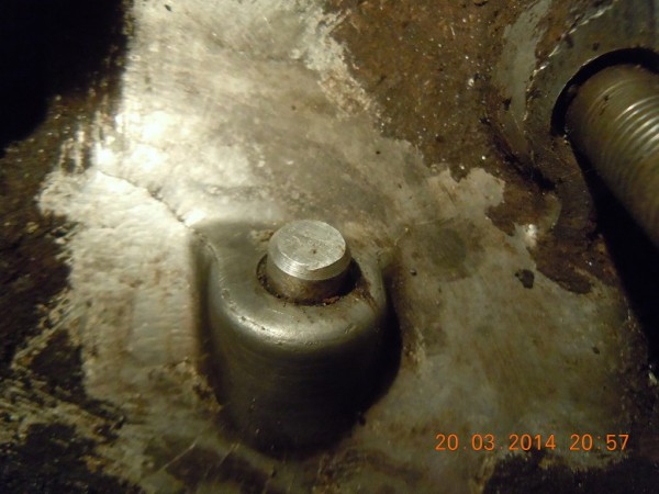 DSCN5650.JPG