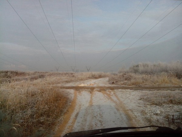 дорожка в поле. Слева подходит дорога от СНТ