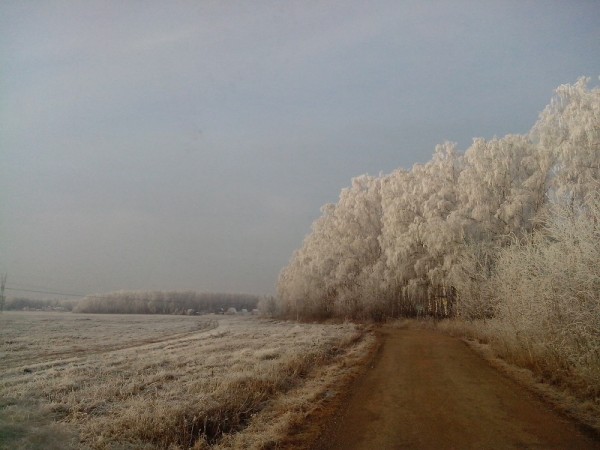 Красота. ЛЭП впереди
