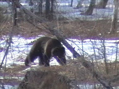 NVE00092_0001.jpg