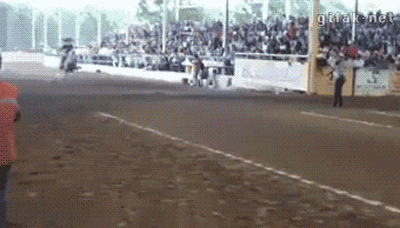 ad6f510cae54f83a2a48a71b44ae76e1.gif