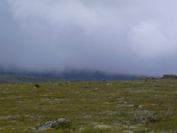 P1080876.JPG