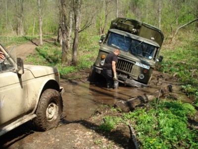 в лесу.jpg