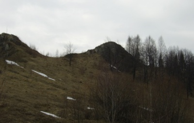 PIC_0110.jpg