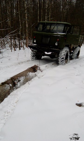 IMG_20161116_112446.jpg