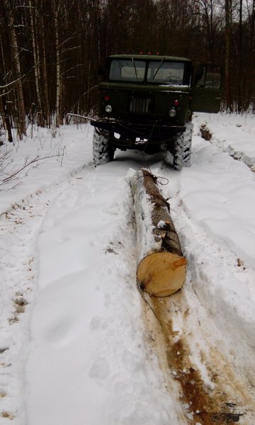 IMG_20161116_112453.jpg