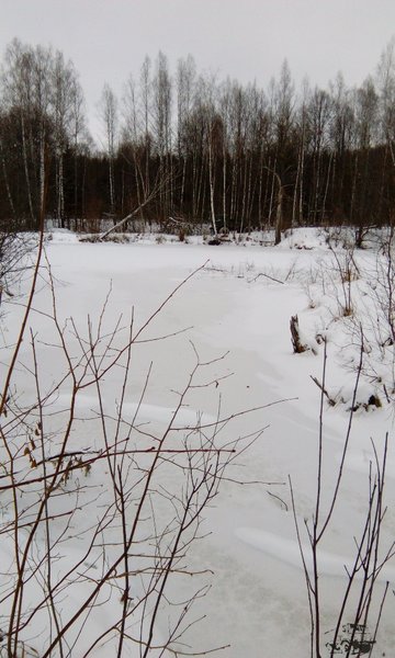 IMG_20161116_114246.jpg