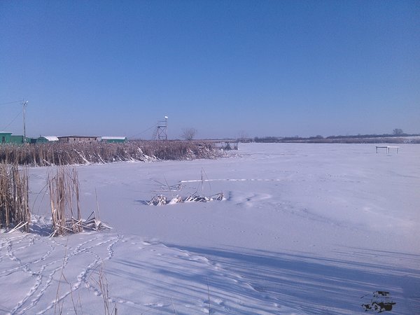 IMG_20161130_122108.jpg