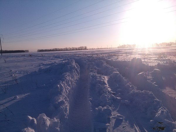 IMG_20161207_144649.jpg