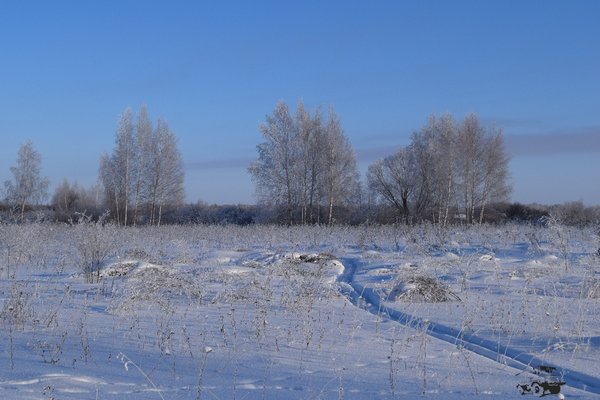 DSC_0199.JPG