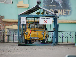 В г. Красноярске