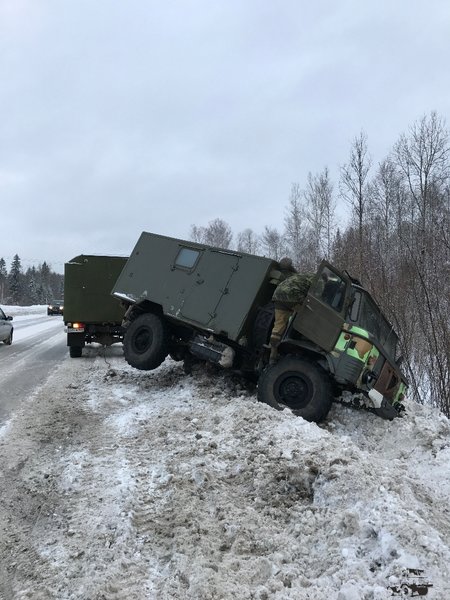 7. Спасение шишиги