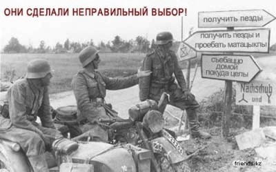 t_12er_145.jpg