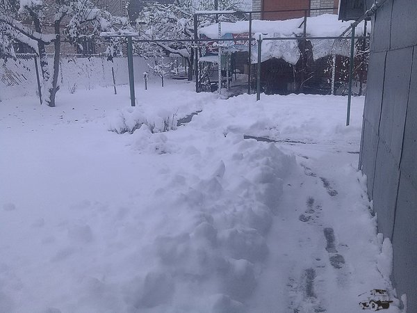 IMG_20171122_134210.jpg