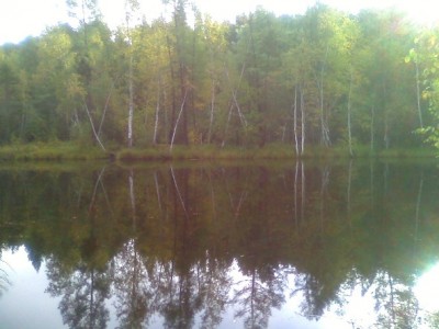 1mot_5296.jpg