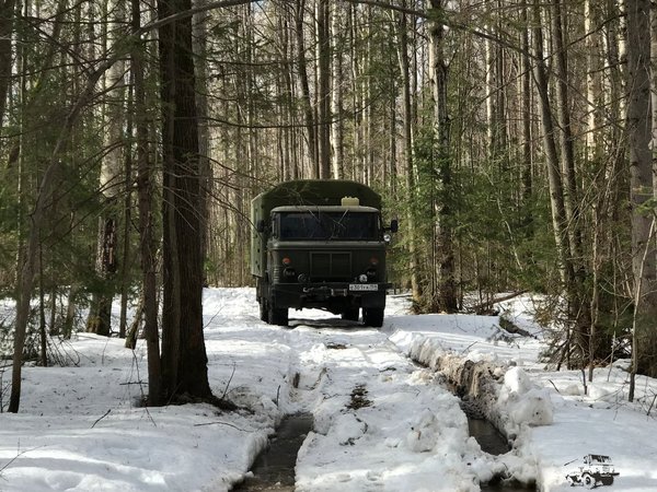 8. Притаился в лесу, в своей стихии