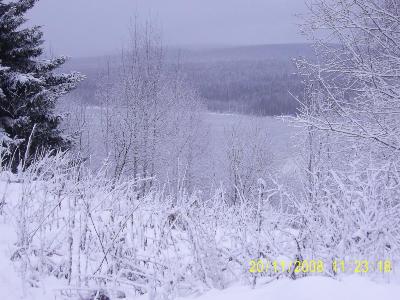 PIC_0071.jpg