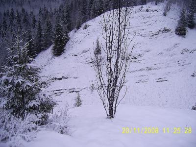 PIC_0073.jpg