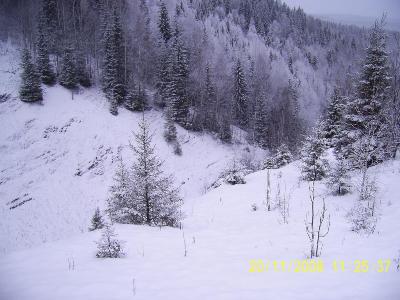 PIC_0074.jpg