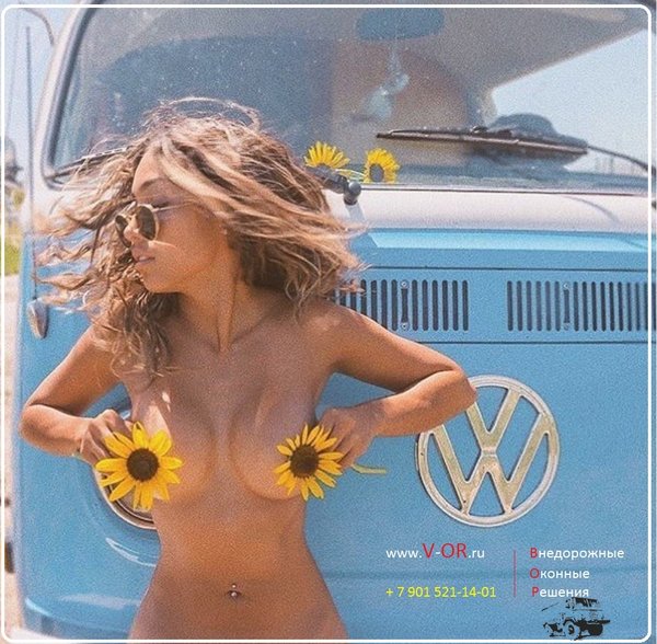 Внедорожные Оконные Решения www.V-OR.ru VW.jpg