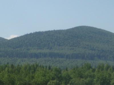 это тоже для души-лето 2010 Конжак.JPG