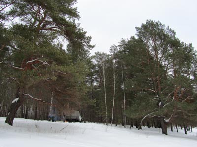 шашлыкинг на высоком берегу