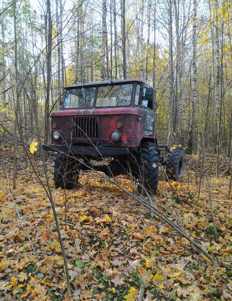 IMG_20211027_110044.jpg