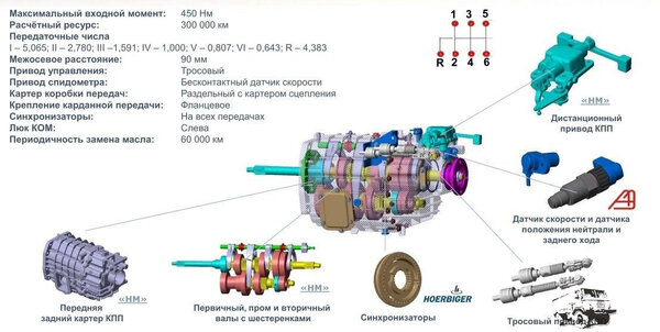 3702457.jpg
