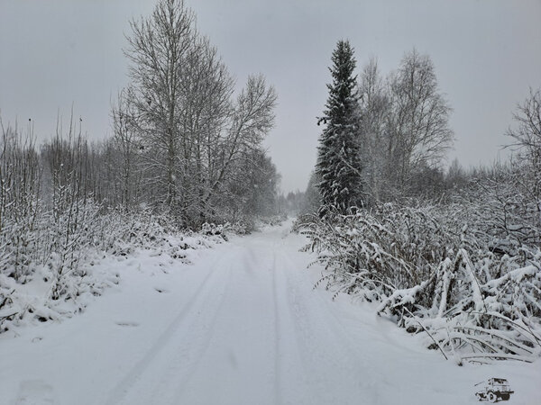 20231025_105642.jpg