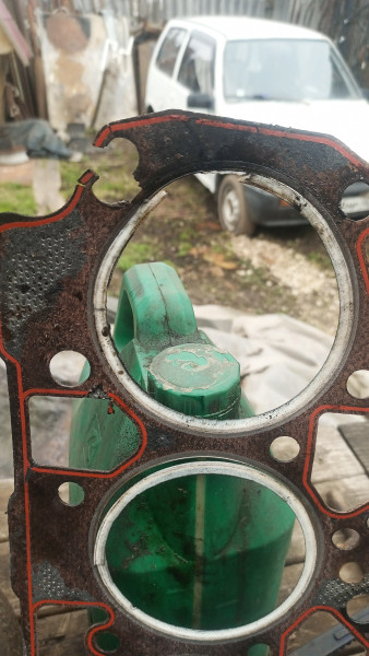 IMG-20240417-WA0011.jpeg