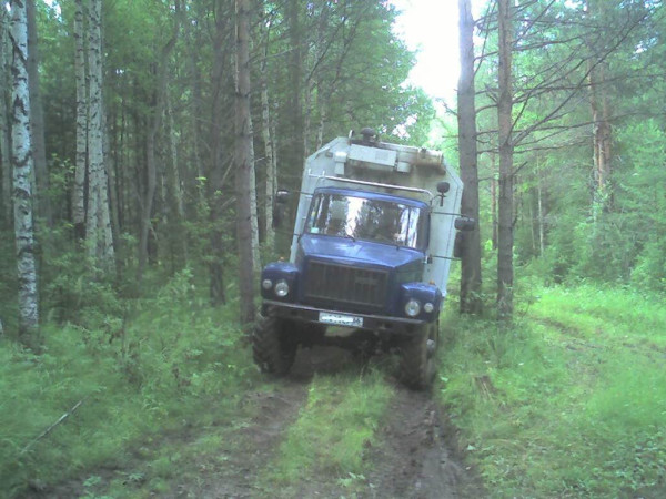зацепился за дерево.jpg