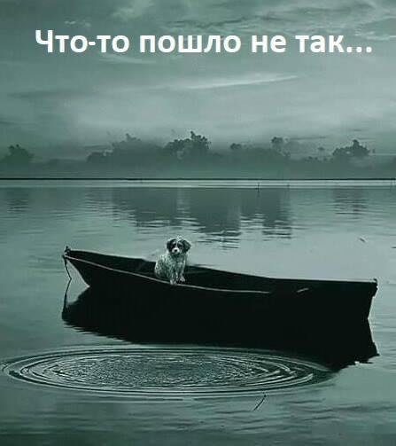 IMG_20250411_055649_854.jpg