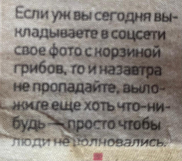 WhatsApp Image 2025-07-17 at 08.26.49.jpeg