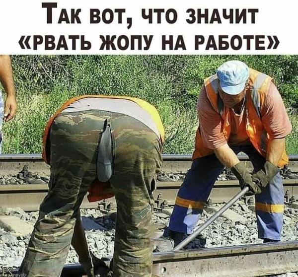 WhatsApp Image 2025-07-30 at 13.04.54.jpeg